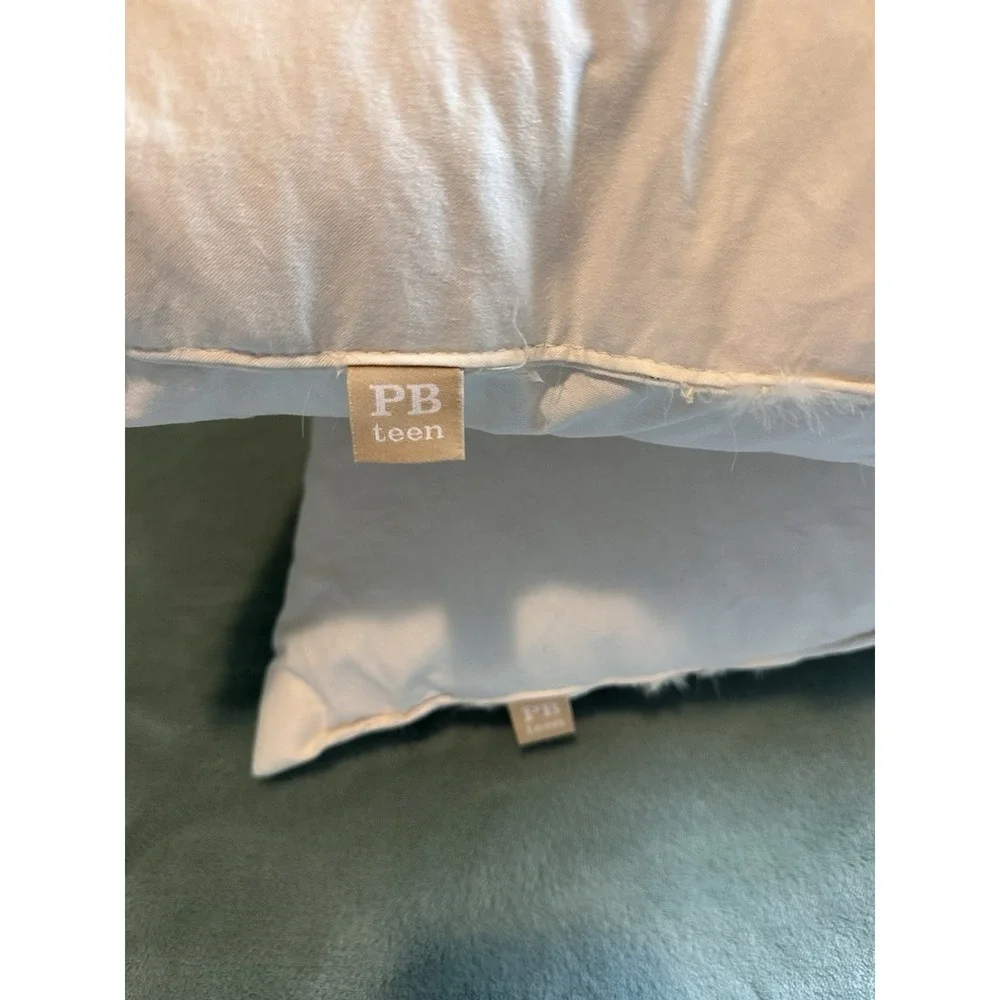 Pottery Barn Teen Standard Down Feather Pillow Insert Set of 2 White